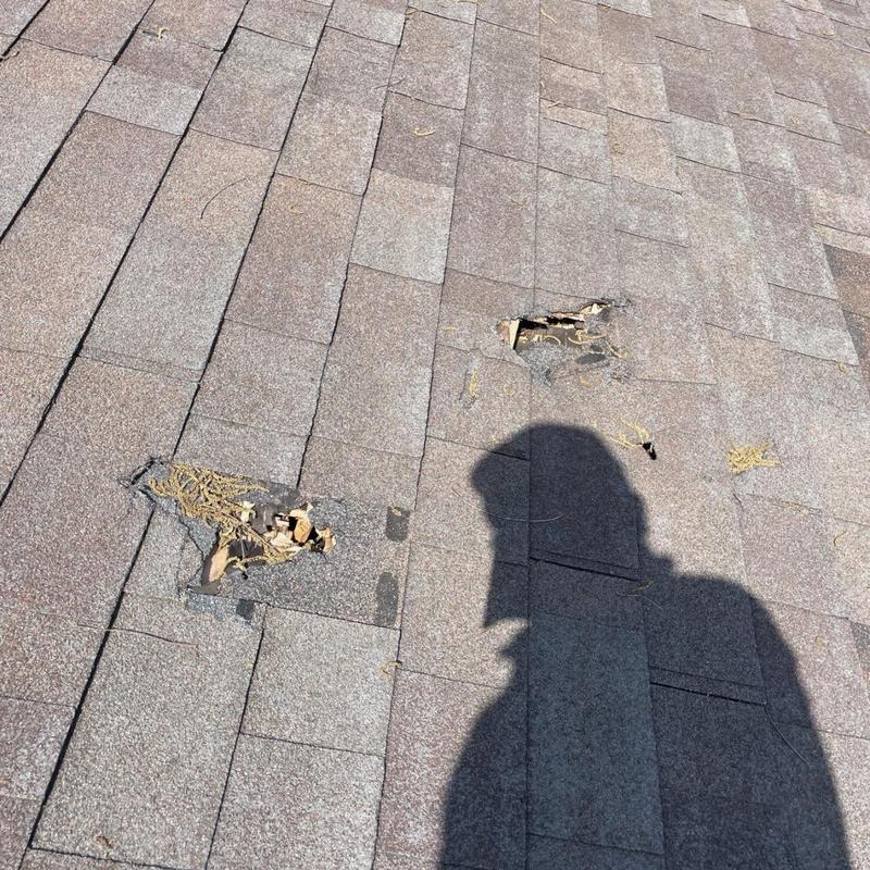 Asphalt shingle roof with multiple damaged sections