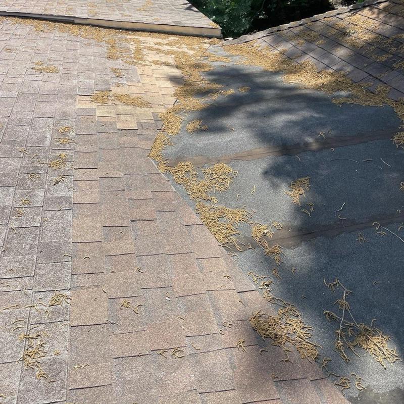 Asphalt shingle roof with debris and patches