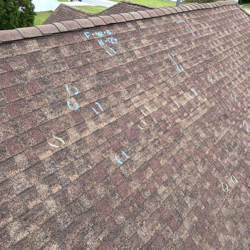 Asphalt Shingles with Hail Damage Markings