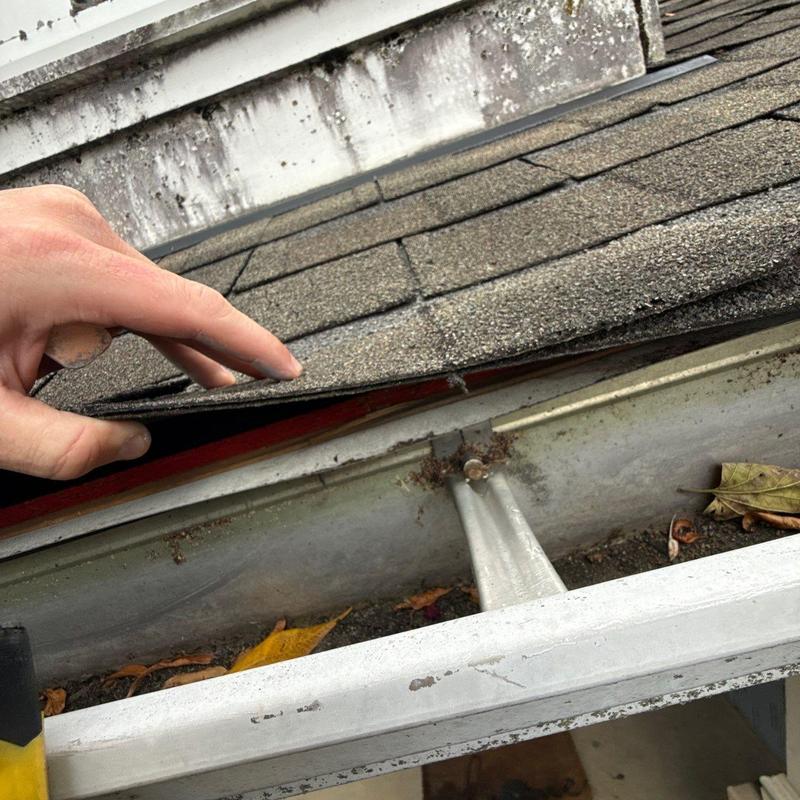 Roof shingles lifted to inspect for hail damage