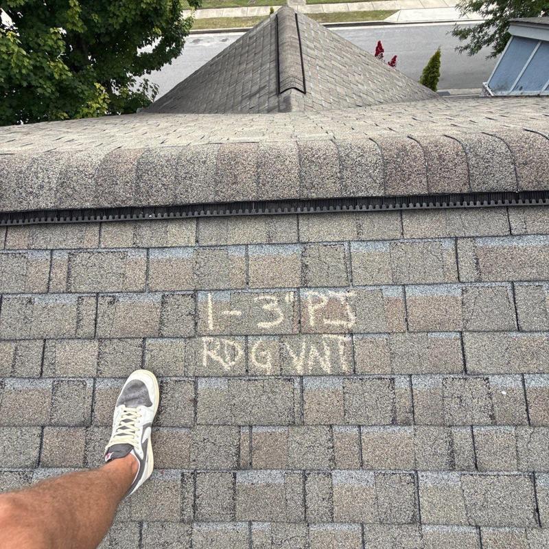 Asphalt shingle roof with hail damage markings