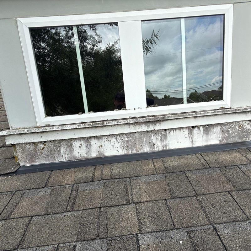 Dormer window siding with mold and water damage