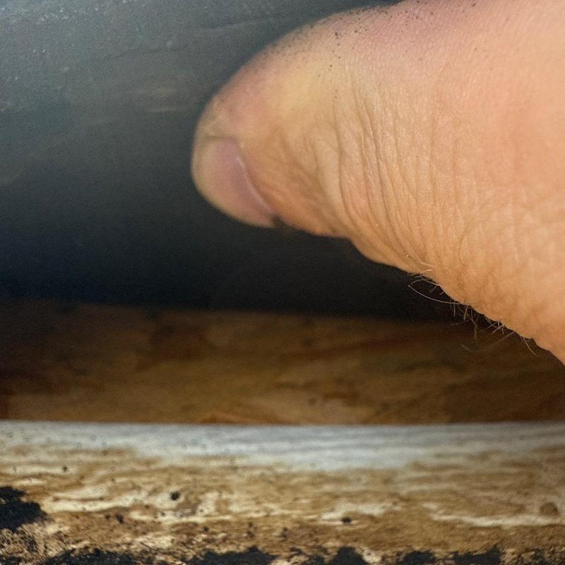 Roof decking inspection revealing hail damage beneath shingles