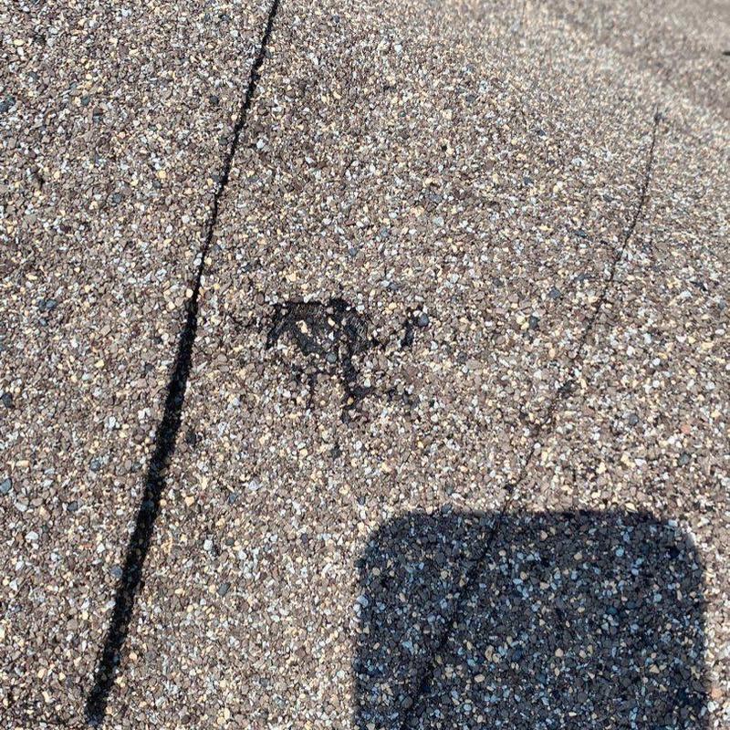 GAF Timberline HDZ shingle with hail damage close-up