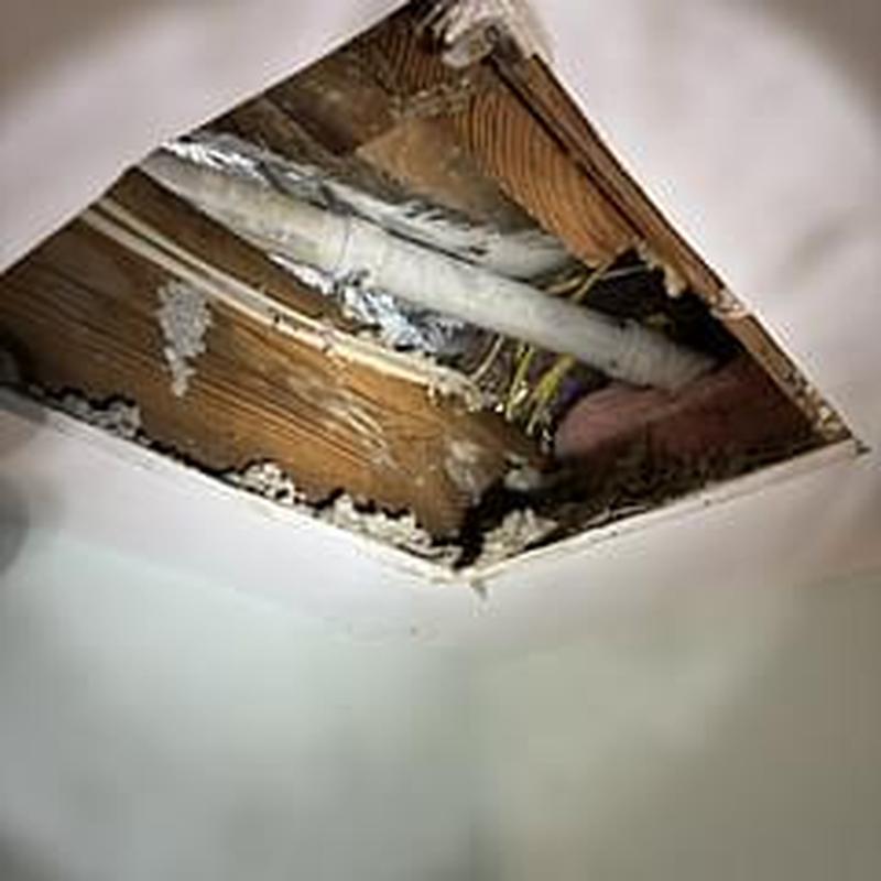 PVC drain pipe with new couplings in ceiling cavity