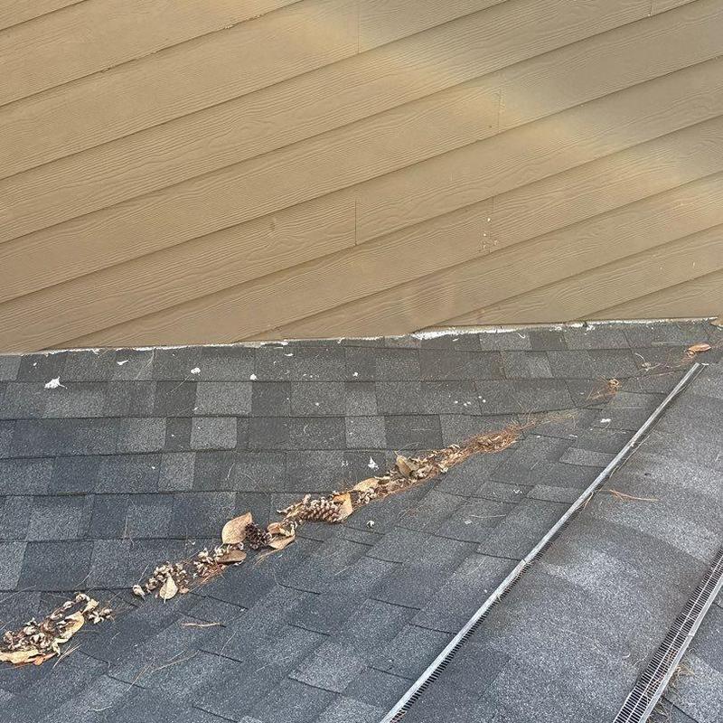 Asphalt shingles with debris buildup along roof valley
