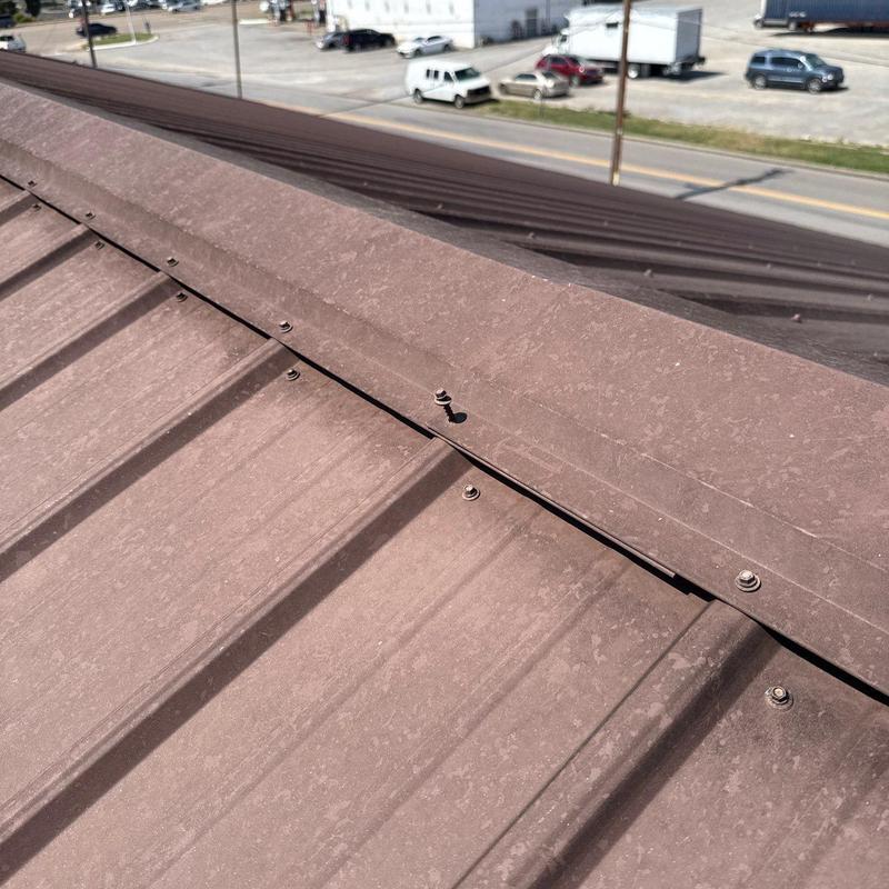Metal roof panel with loose screw fastener