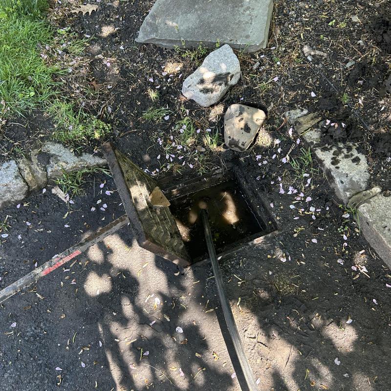 Sewer cleanout with jetting hose inserted Sewer cleanout with jetting hose inserted