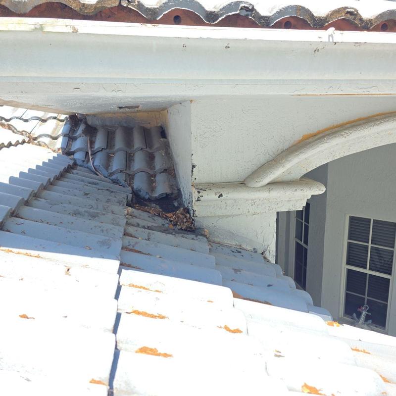 Tile roof corner with debris buildup near gutter system