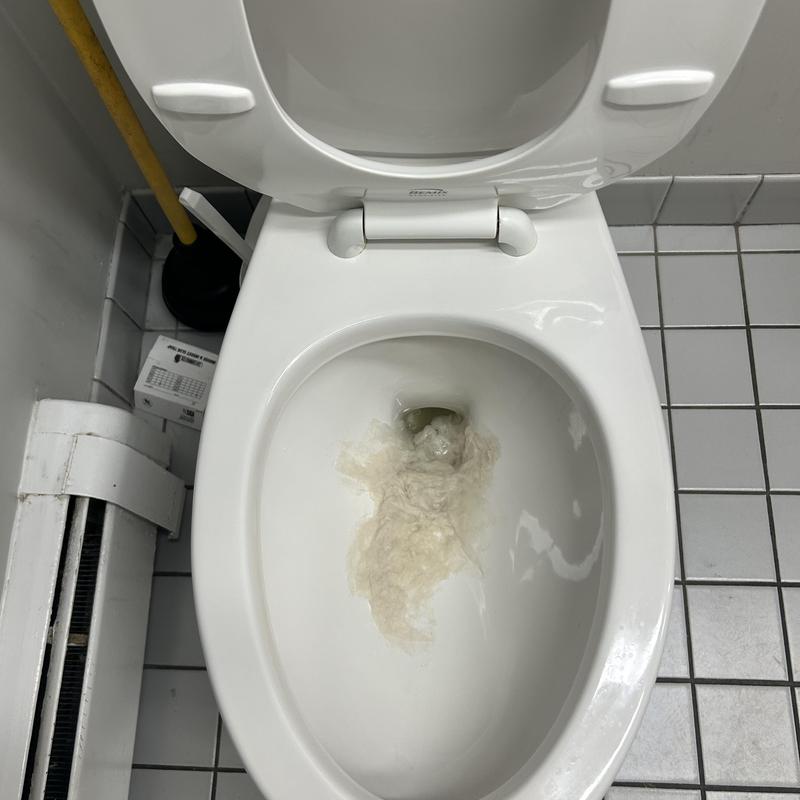 Toilet bowl with tissue blockage in commercial restroom Toilet bowl with tissue blockage in commercial restroom