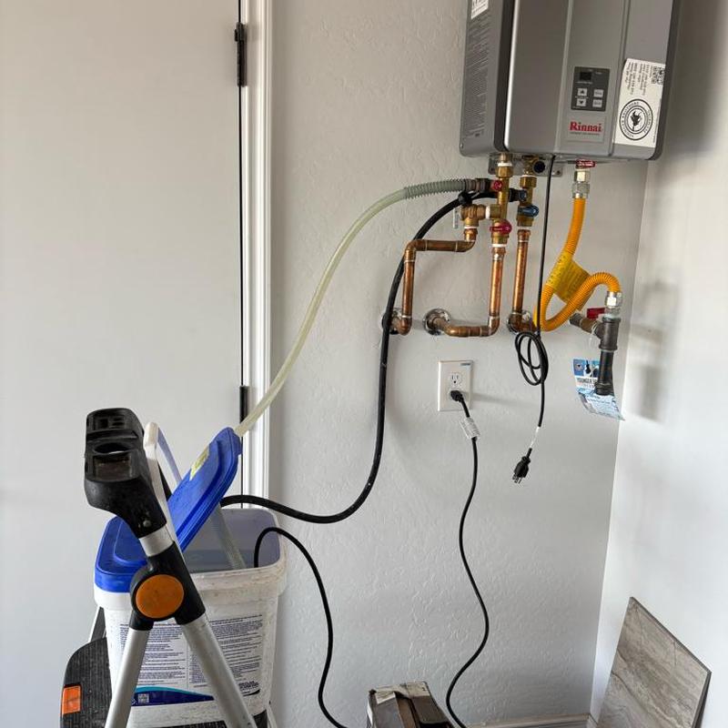 Tankless water heater flushing with attached hoses