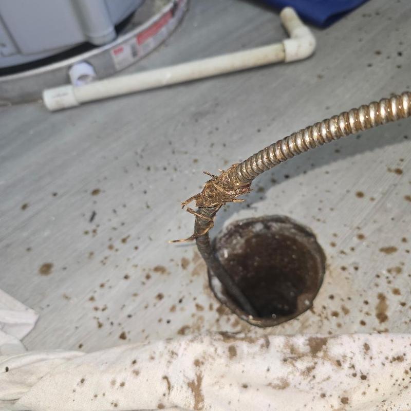 Floor drain cable pulling root blockages out