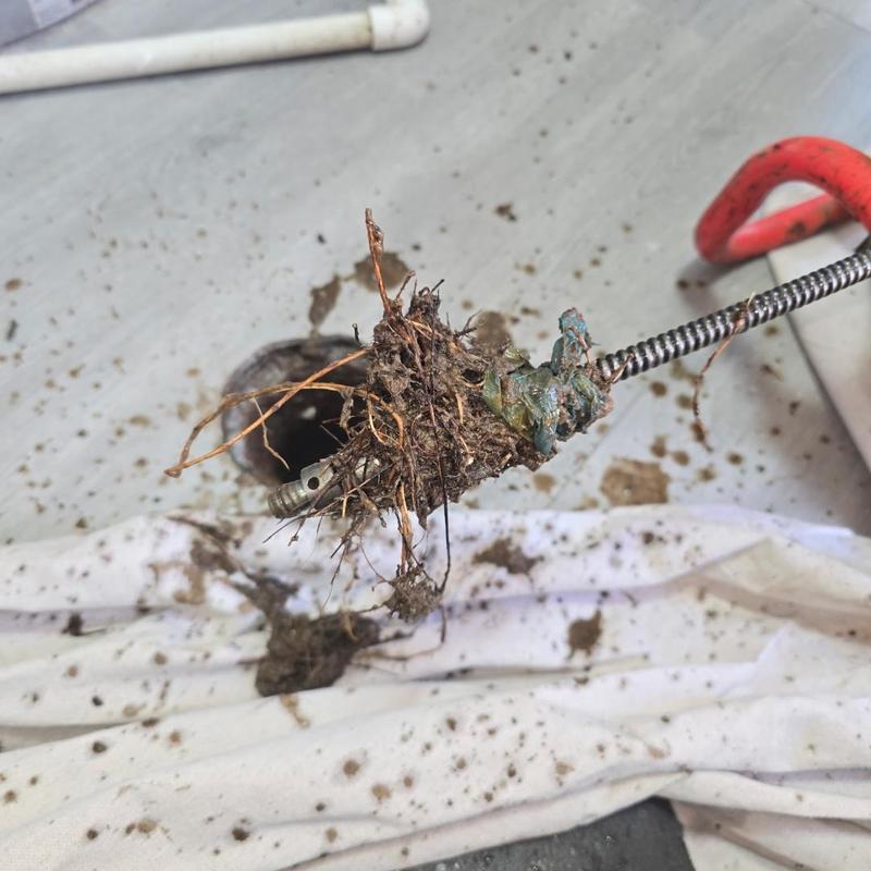 Floor drain cable with roots and debris removal