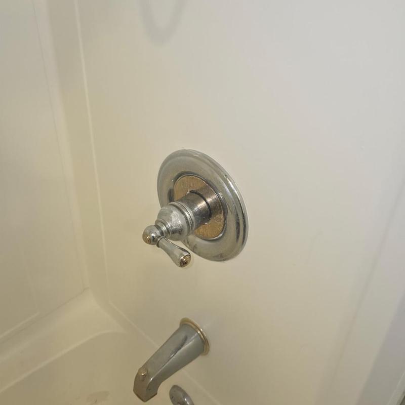 Shower trim plate and tub spout with caulk repairs