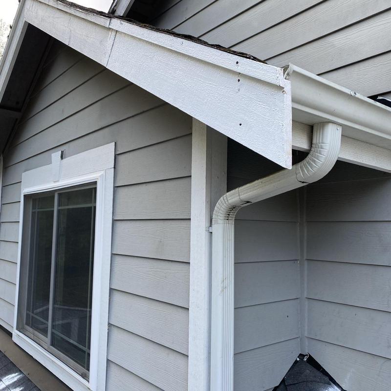 Damaged white fascia board on house exterior near gutter