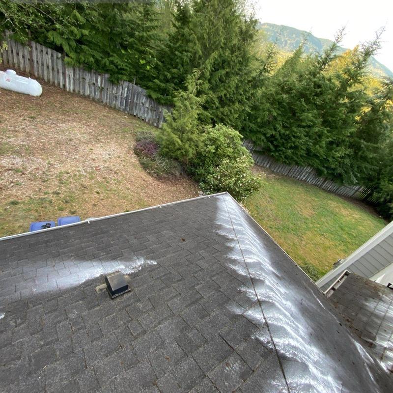 Roof moss removal and gutter cleaning in Issaquah