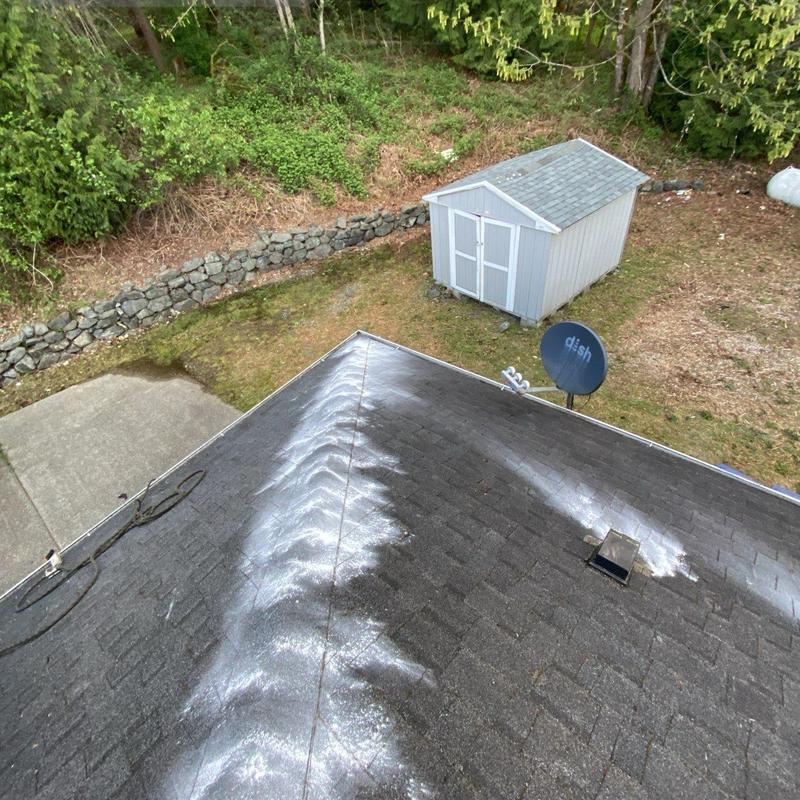 Roof shingles after moss removal and cleaning
