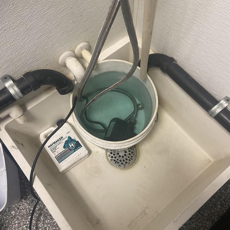 Pump motor submerged in bucket with cleaning solution