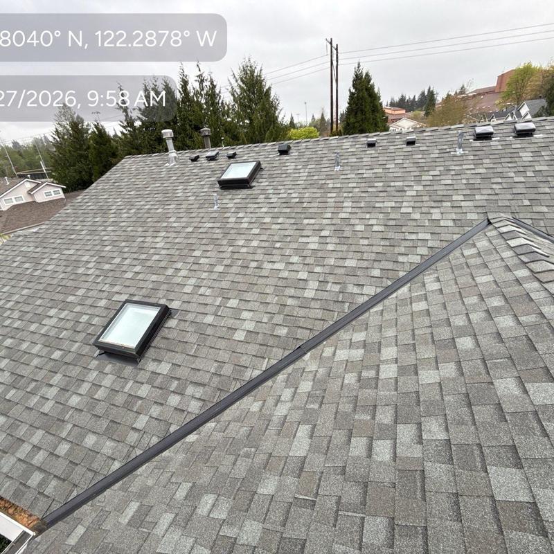 Roof shingles with skylights and vents inspection