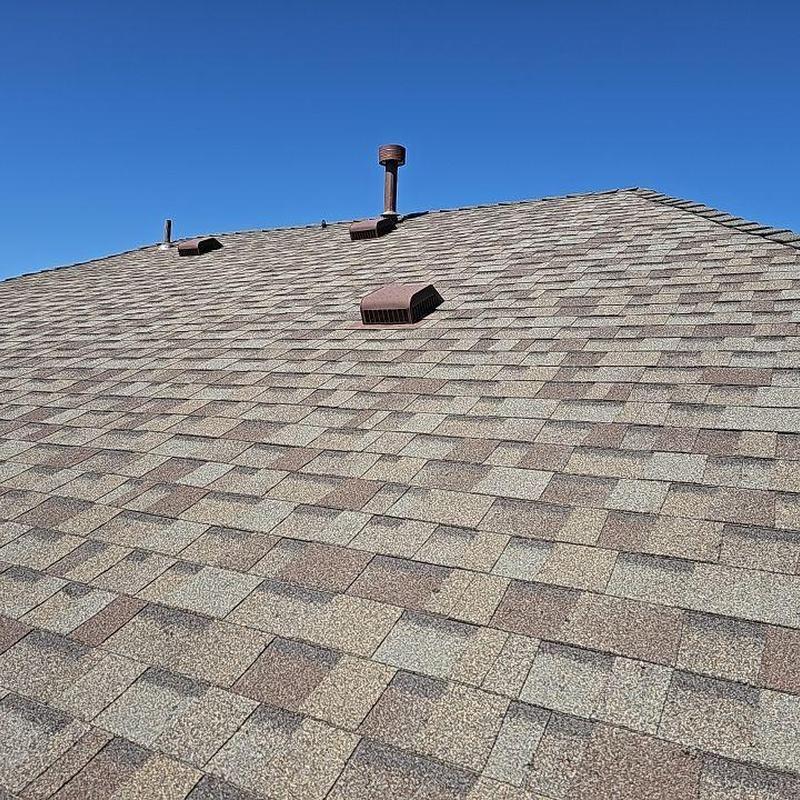 Asphalt shingle roof with hail damage and vents Asphalt shingle roof with hail damage and vents