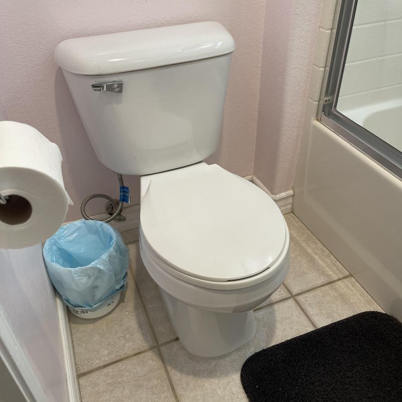 Toilet flush valve and fill valve assembly replacement