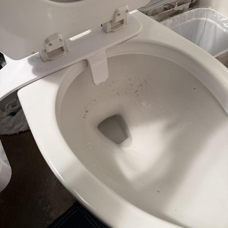 Toilet bowl with open lid in residential bathroom