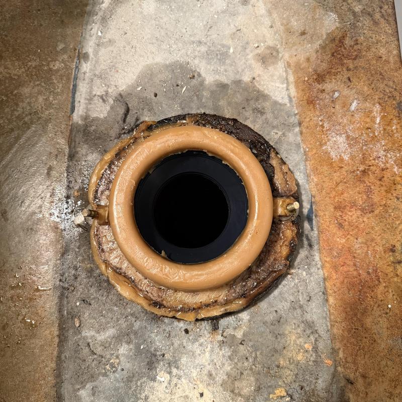 Toilet flange with new wax ring installed