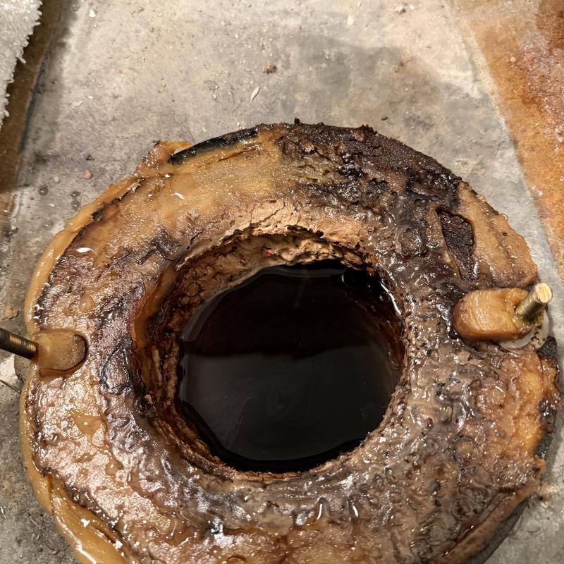 Toilet wax ring removed with bolts on concrete floor