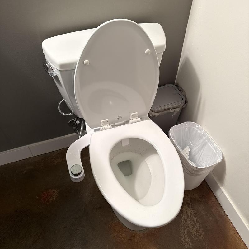 Toilet drain line clog cleared and toilet reset in bathroom