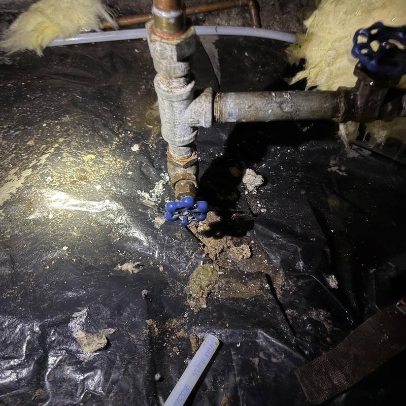 Hose bibs with blue handles in crawl space