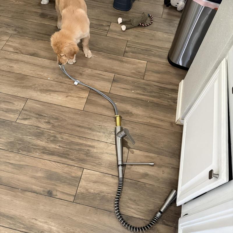 Kitchen faucet detached on wood floor with puppy nearby Kitchen faucet detached on wood floor with puppy nearby