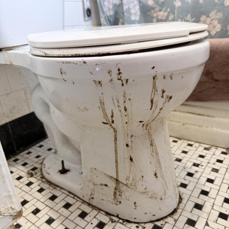 Toilet bowl with dirt stains and loose base bolts