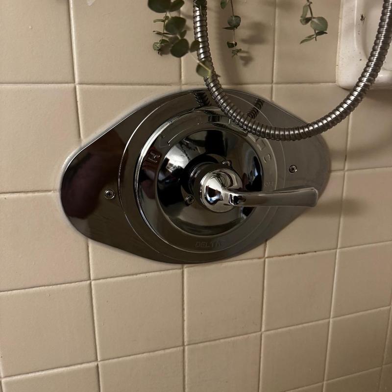 Delta single-handle shower valve with remodel plate