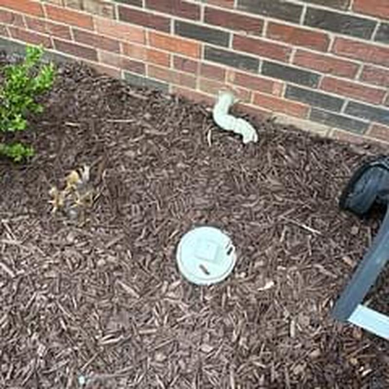 Sewer line cleanout with inspection access cap outdoors