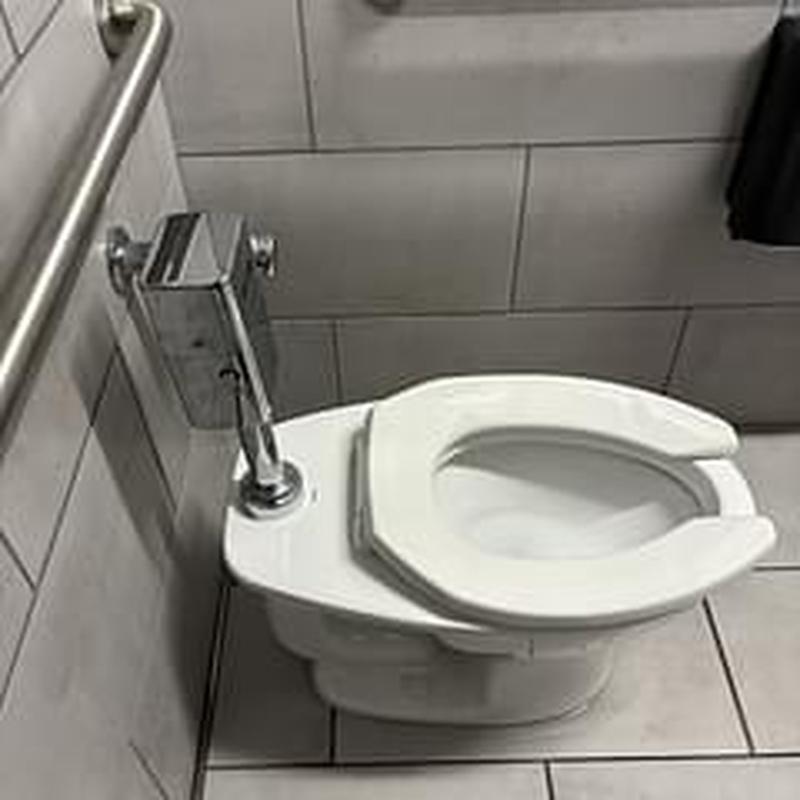 Floor mount flushometer toilet with safety railing