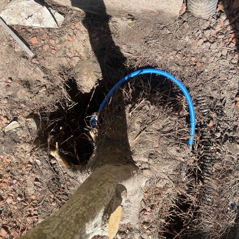 PVC underground pipe near tree root excavation
