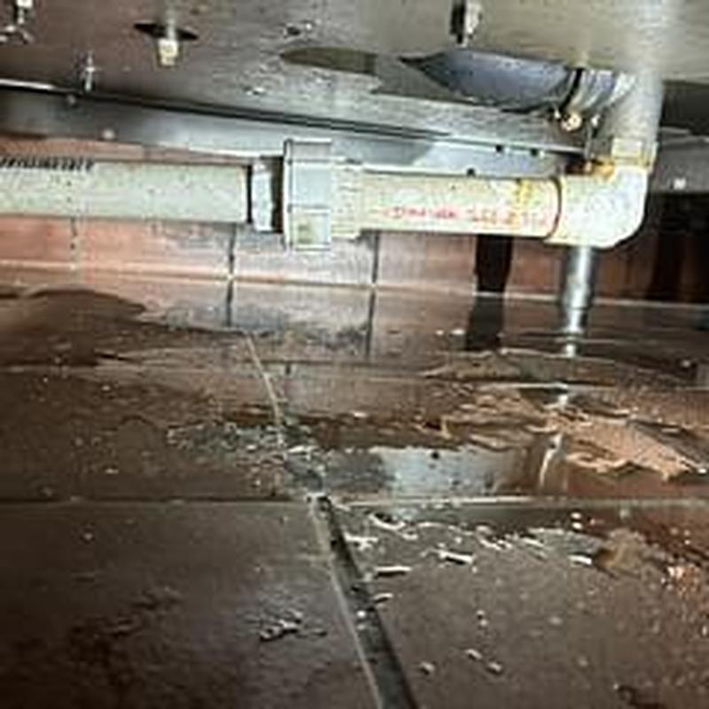 Dishwasher drain pipe union with water leak under sink
