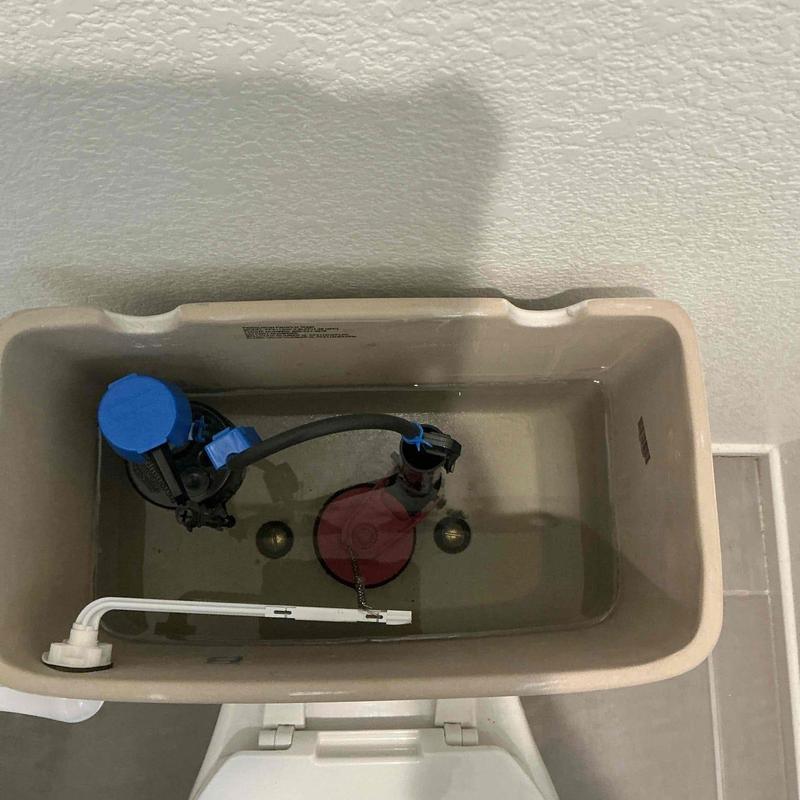 Toilet flush valve assembly with new tank gasket
