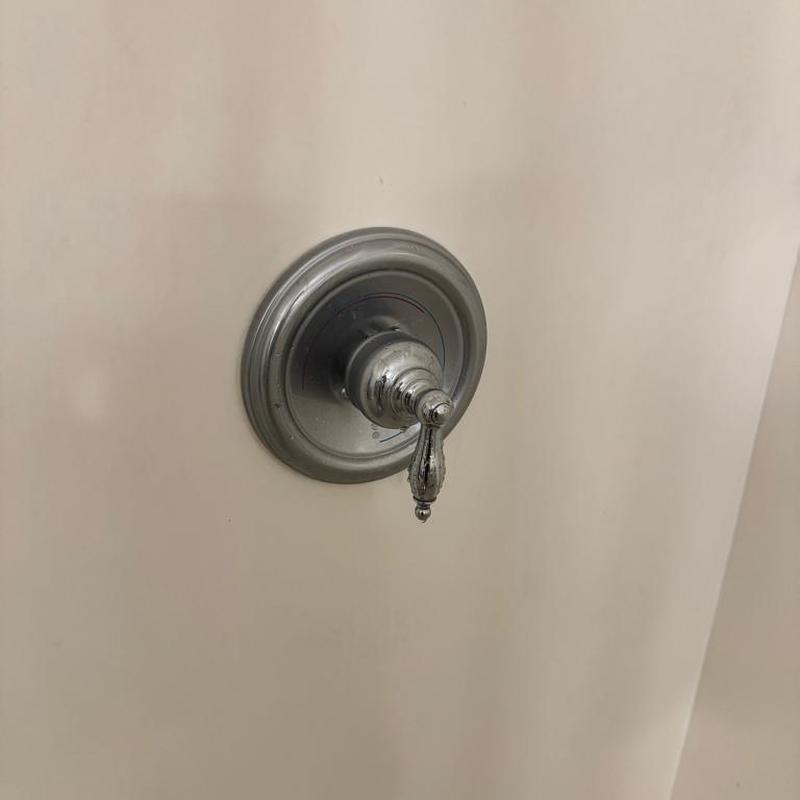 Shower cartridge and handle with drip on wall