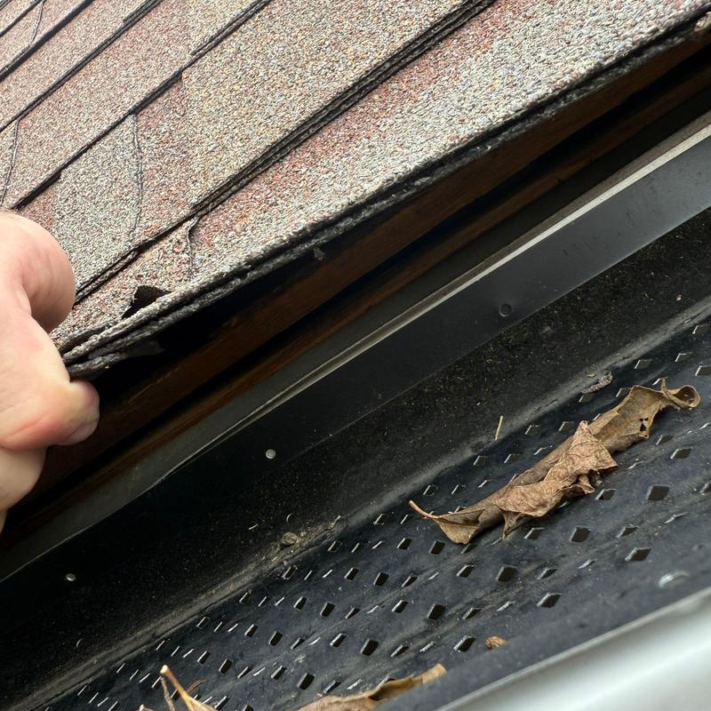 Roof shingles lifted to inspect underlying wood and gutter