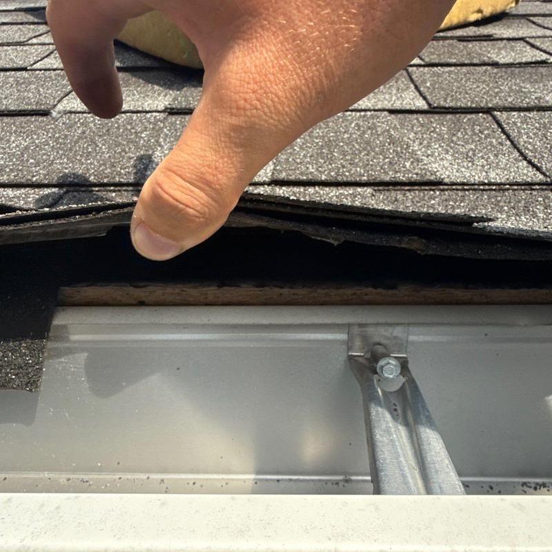 Shingle roof edge lift revealing underlayment damage