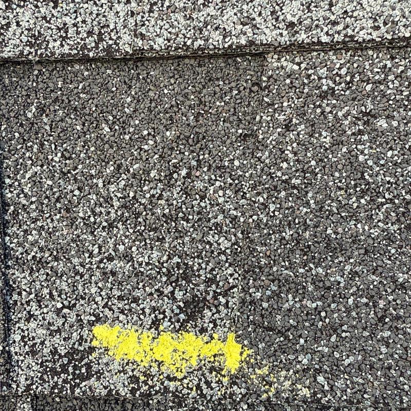 Asphalt roof shingles with hail damage marked