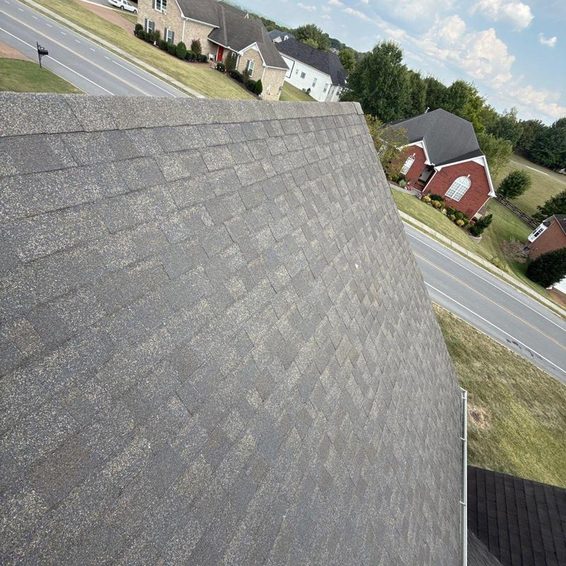 Asphalt shingle roof showing hail damage and granule loss