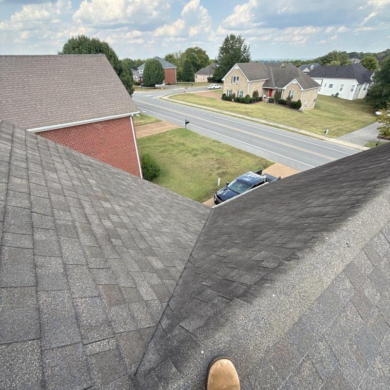 Asphalt shingle roof with hail damage inspection