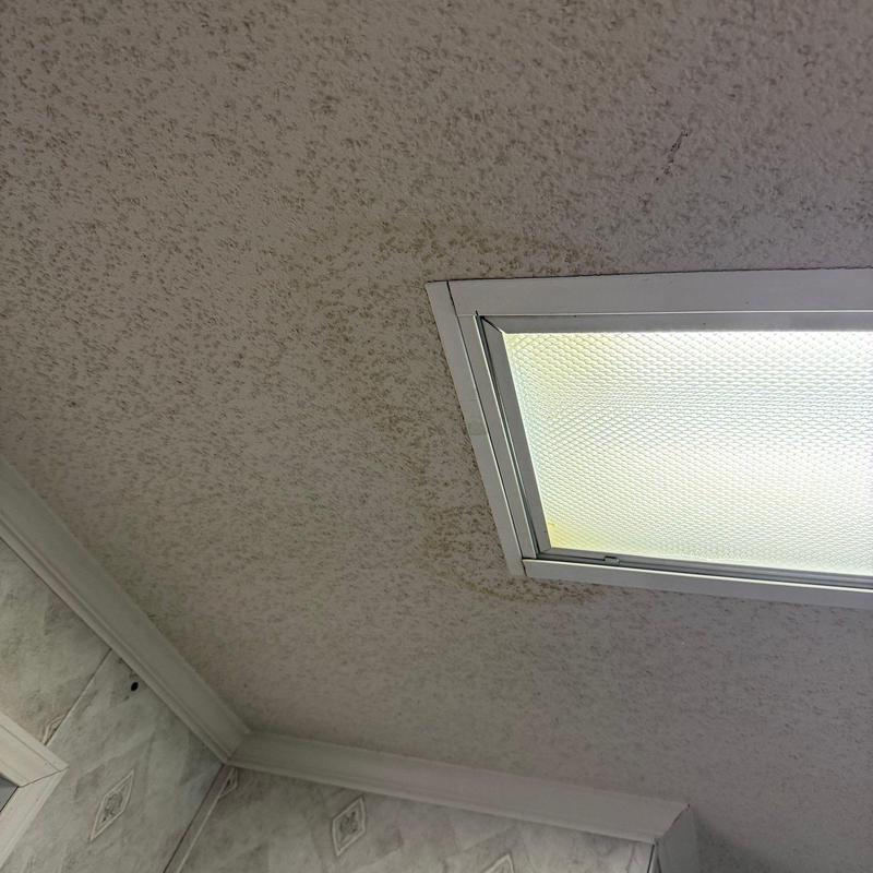 Ceiling mold around fluorescent light fixture
