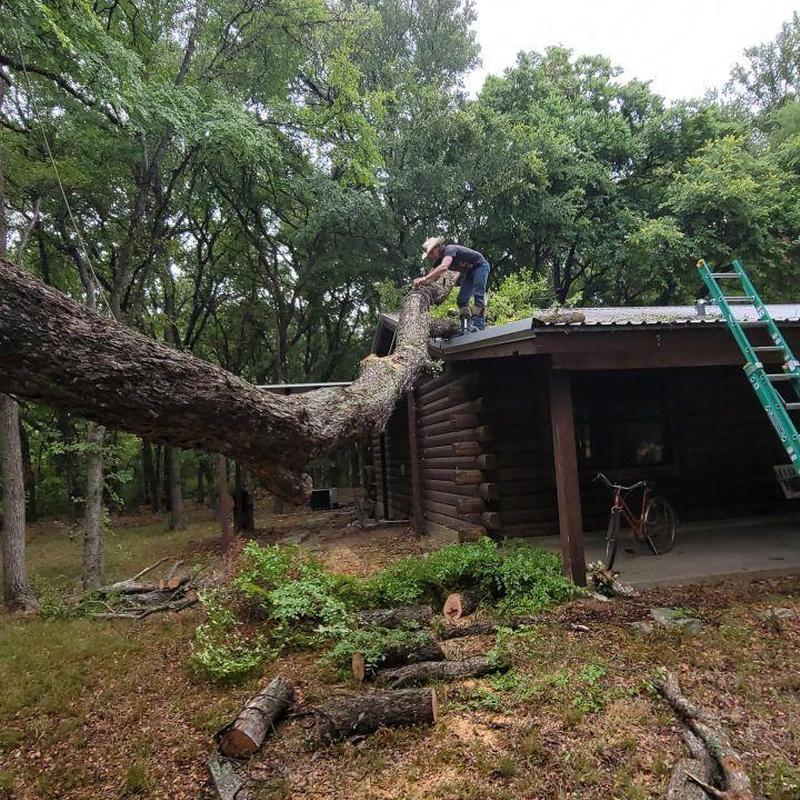 Tree removal on roof with chainsaw and ladder