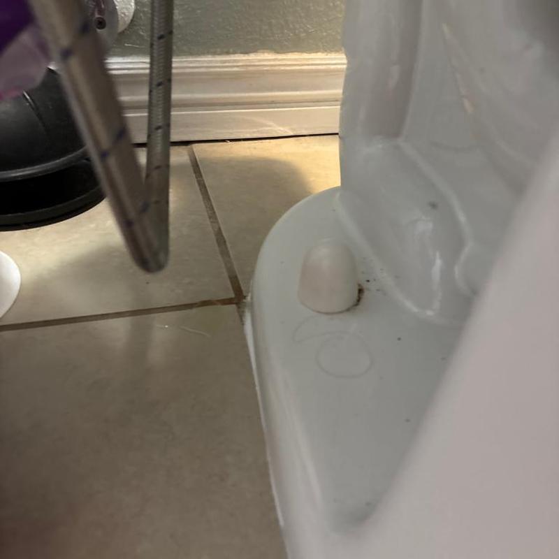 Toilet base with new hardware and caulking