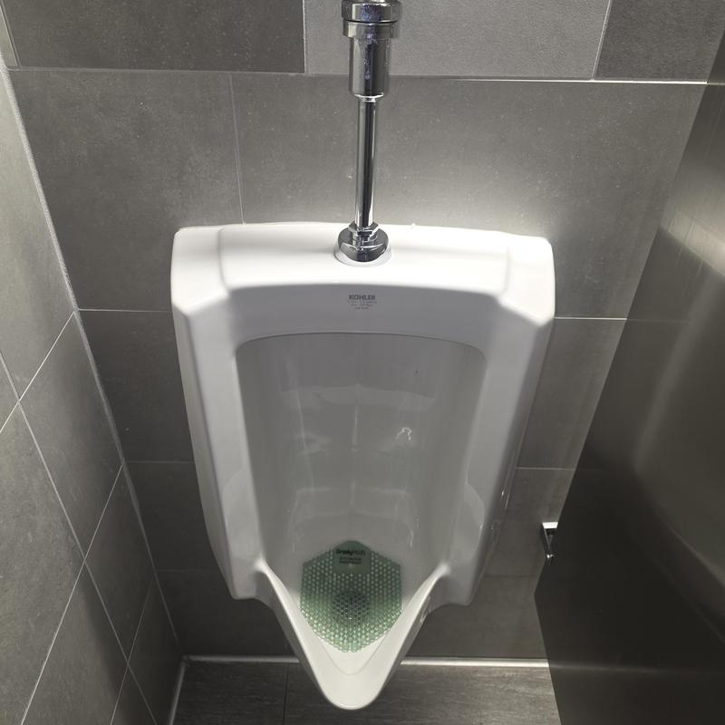 Urinal with flush valve and odor screen in restroom