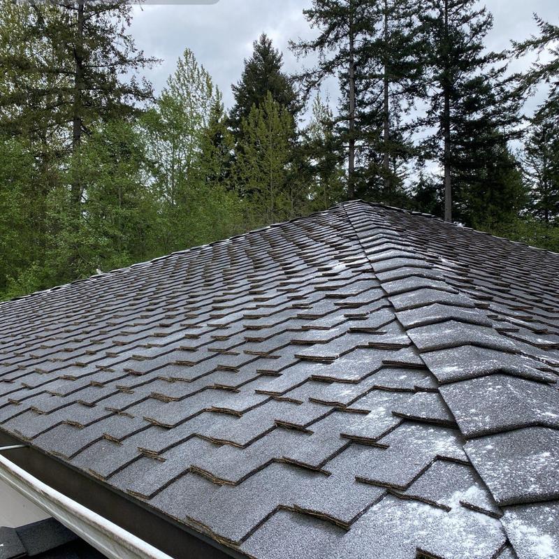 Roof shingles with moss treatment and cleaning in progress