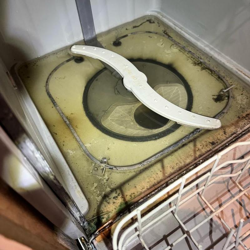 Dishwasher interior flooded with moldy water and corrosion